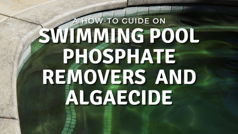 A How To Guide On Swimming Pool Phosphate Removers & Algaecides - Mr Pool Man