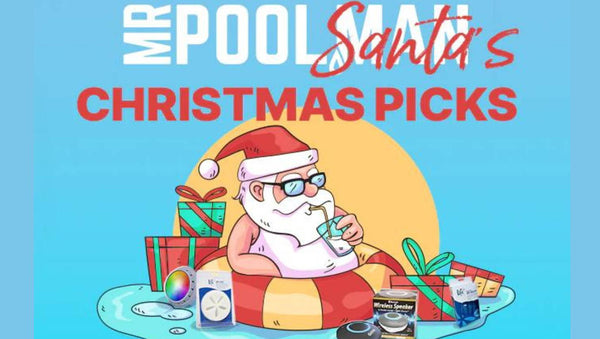 Christmas Gift Guide for Pool Enthusiasts this 2023 Holiday Season - Mr Pool Man