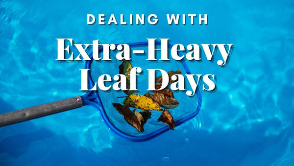 Dealing with extra-heavy leaf days (2025 edition) - Mr Pool Man