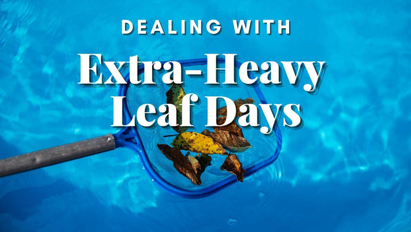 Dealing with extra-heavy leaf days (2025 edition) - Mr Pool Man