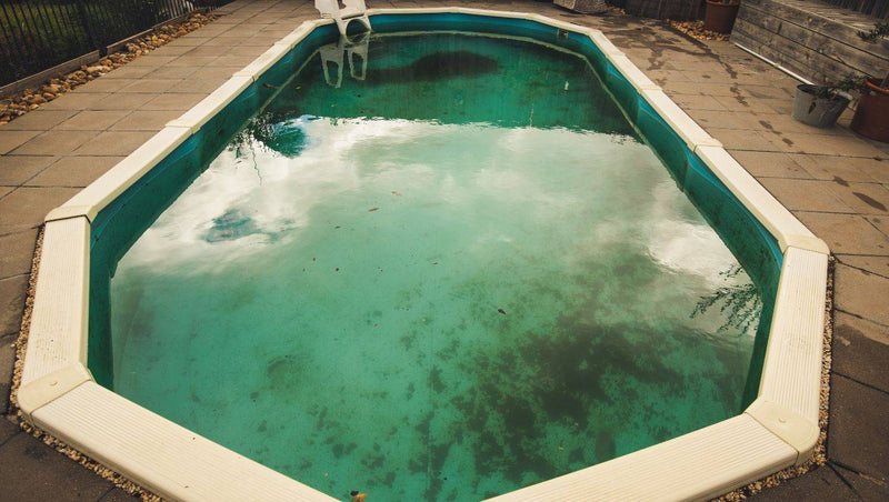 Different Algaecides for Different Jobs - Mr Pool Man