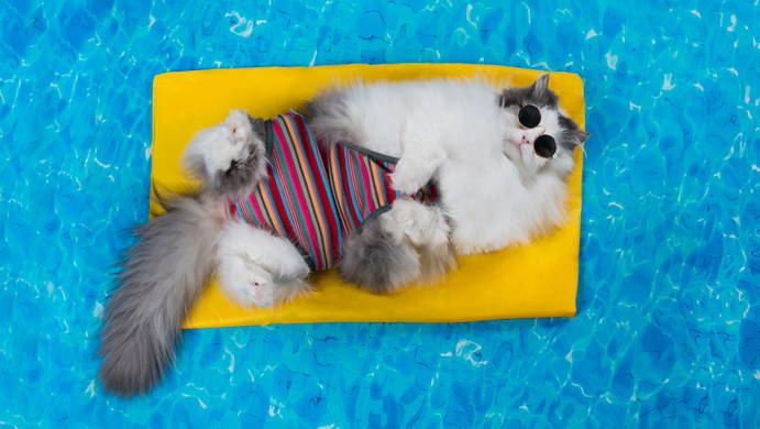 Extending the Swimming Season with a Pool Heat Pump - Mr Pool Man