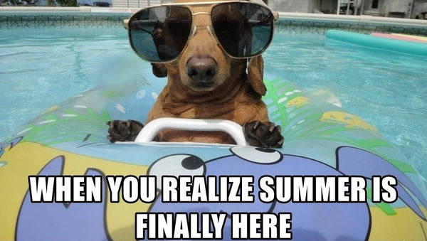 First Day Of Summer Australia 2024 - 2025 - Mr Pool Man