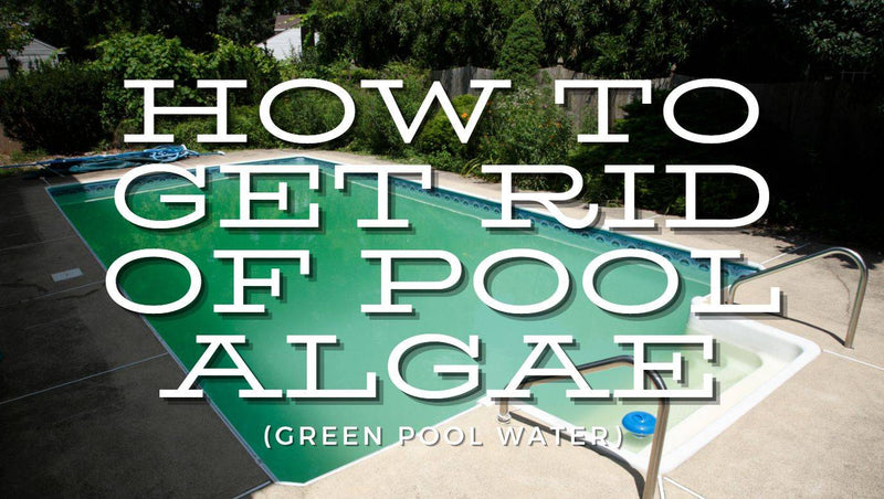 How To Get Rid Of Pool Algae (Green Pool Water) - Mr Pool Man