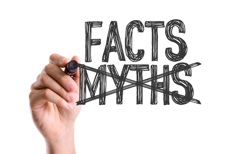 Pool Maintenance Myths Explored - Mr Pool Man