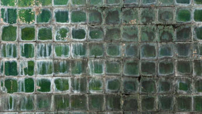 Pool Surface Discoloration: Causes and Cures - Mr Pool Man