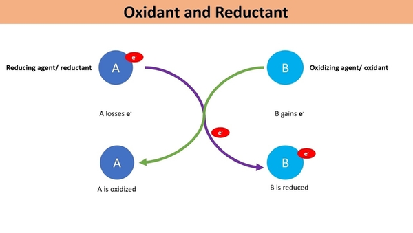 What are Swimming Pool Oxidisers and do we need them?