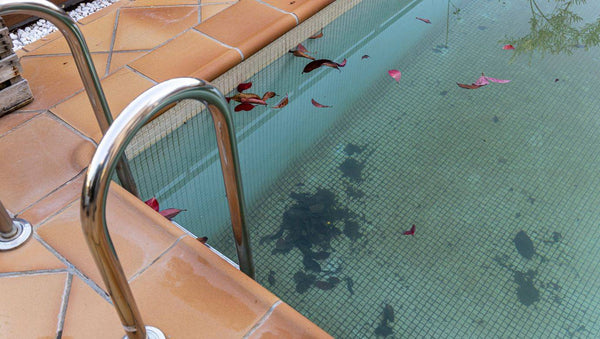 Does Your Pool Have Pool Stains