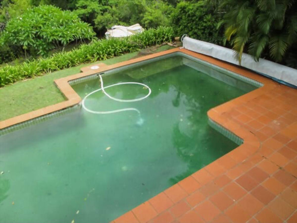 Five Common Causes for Green Pool water