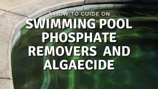 A How To Guide On Swimming Pool Phosphate Removers & Algaecides