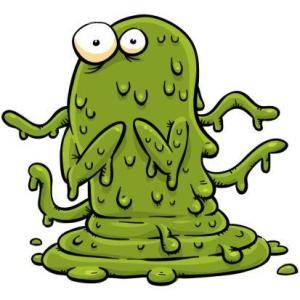 Why Does My Pool Keep Getting Algae? - Mr Pool Man