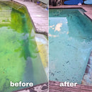 Water TechniX Green Pool Fix – Algae Treatment Bundle