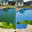 Water TechniX Green Pool Fix – Algae Treatment Bundle