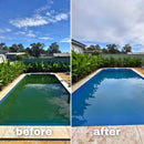 Water TechniX Green Pool Fix – Algae Treatment Bundle