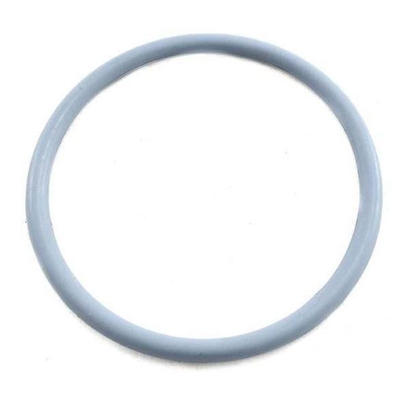 Water TechniX Pump VorteX / ApeX - Union O Ring 50mm
