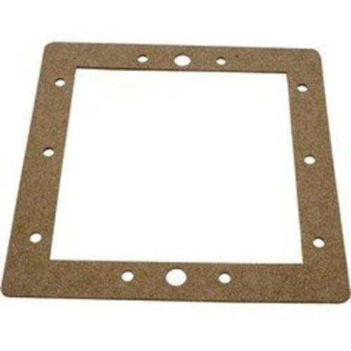 Hayward Classic 001 Face Plate Gasket - Above Ground Pools