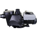 Water TechniX Pump VorteX ECO Variable Speed 1.5HP - Retrofit Astral Viron P320 CTX-Mr Pool Man