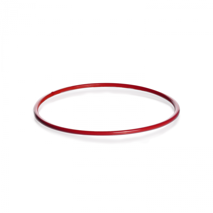 Water TechniX Cartridge Filter Eclipse V1 - Tank Lid O Ring RED