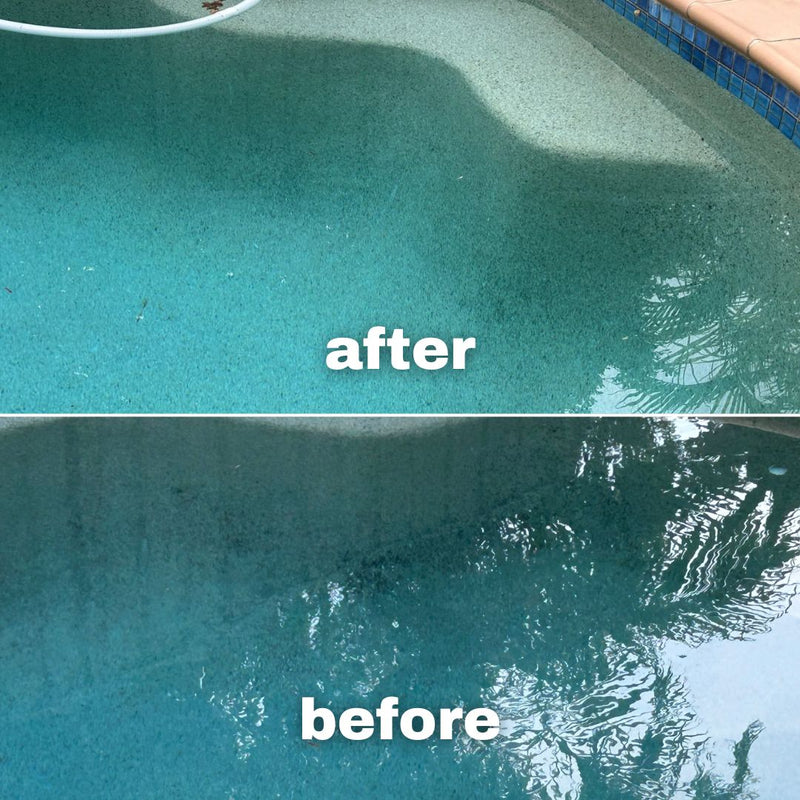 Water TechniX Black Spot Algae Remover 1Kg - Mr Pool Man