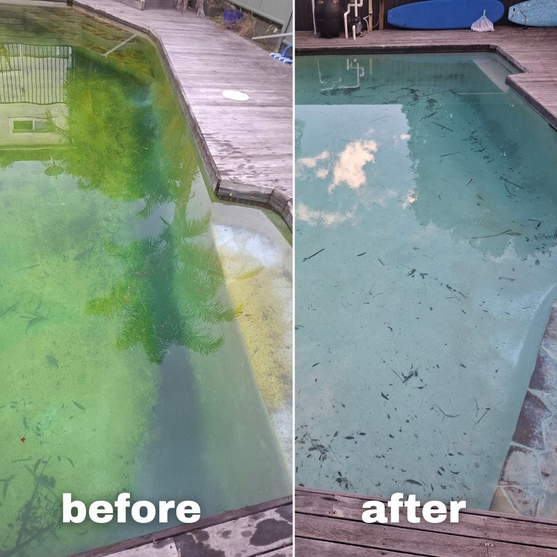 Water TechniX Black Spot Algae Remover 1Kg - Mr Pool Man