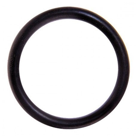Water TechniX Pump ApeX - Diffuser O Ring - Mr Pool Man