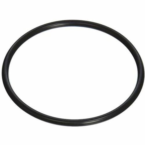 Pentair Rainbow 320 Inline Tablet Feeder Replacement Cap O Ring