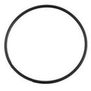 Zodiac Cartridge Filter Tank Lid O Ring - Titan CF Emaux - Mr Pool Man